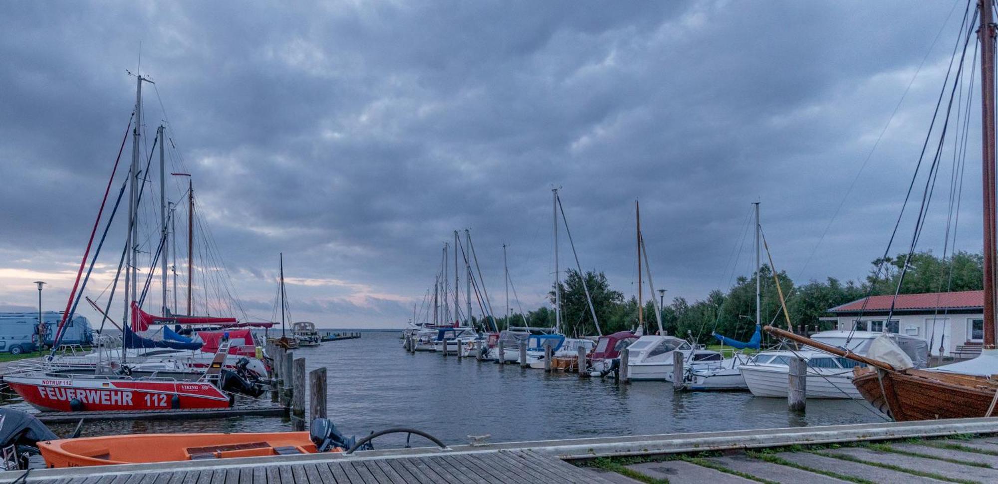 Am Saaler Bodden Apartment